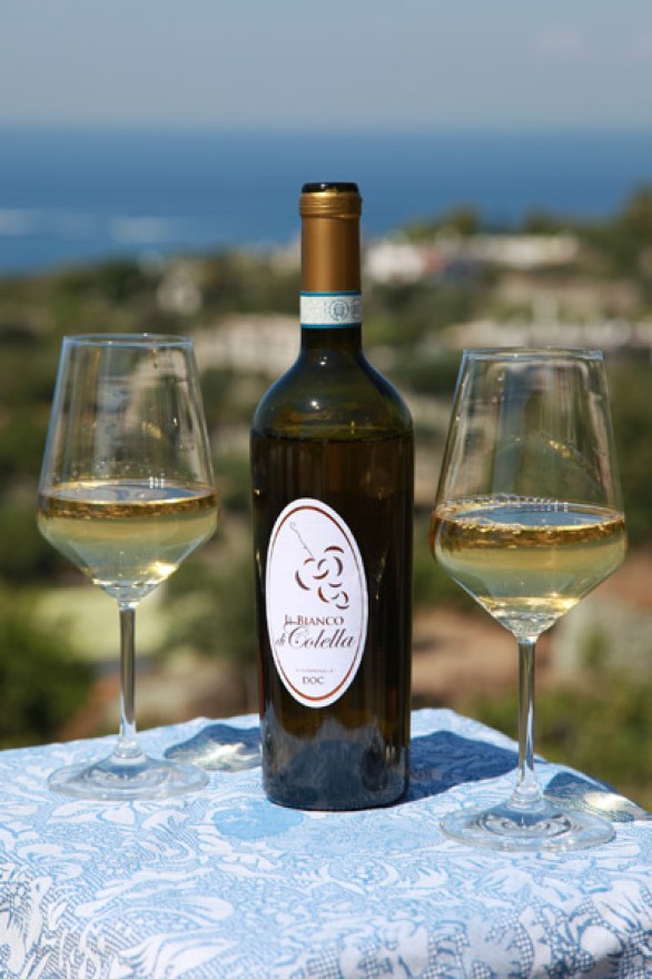 full_bianco-di-colellalla-bott