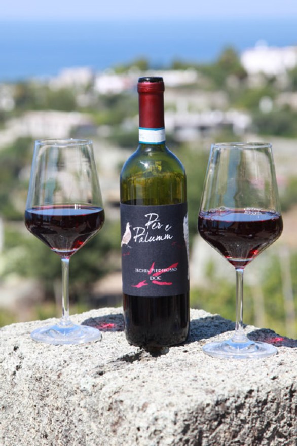 full_per-e-palumm-bott